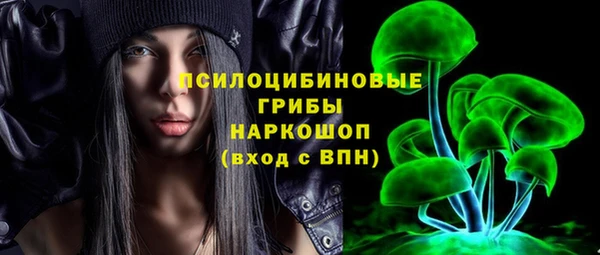 метадон Новозыбков