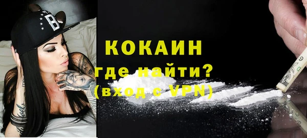 гашик Новодвинск
