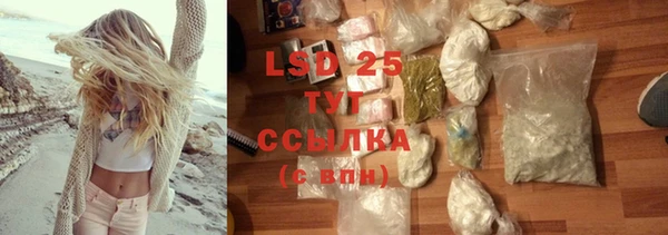 гашик Новодвинск