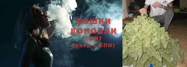 трава Лабытнанги
