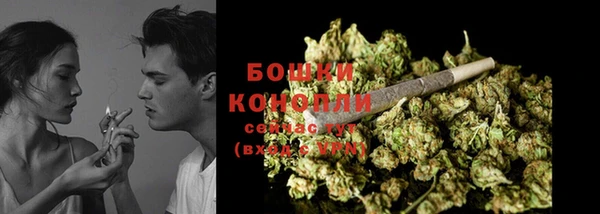 PSILOCYBIN Новокубанск