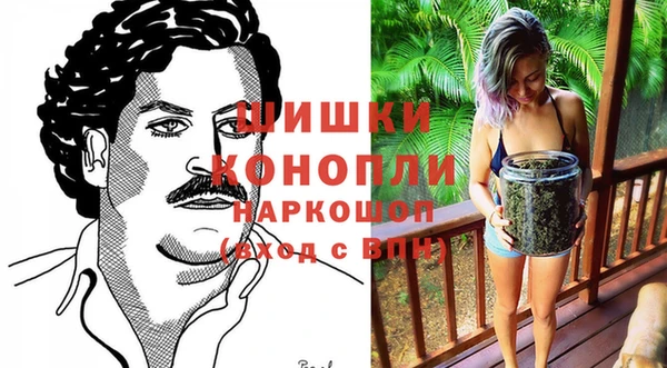 гашик Новодвинск
