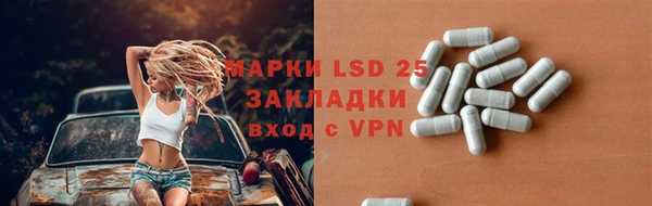 PSILOCYBIN Новокубанск