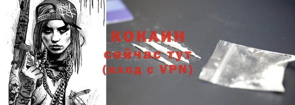 гашик Новодвинск