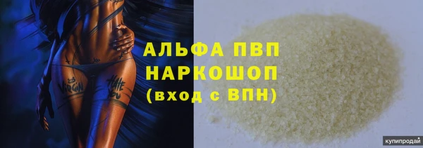 PSILOCYBIN Новокубанск