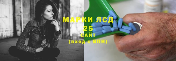 гашик Новодвинск
