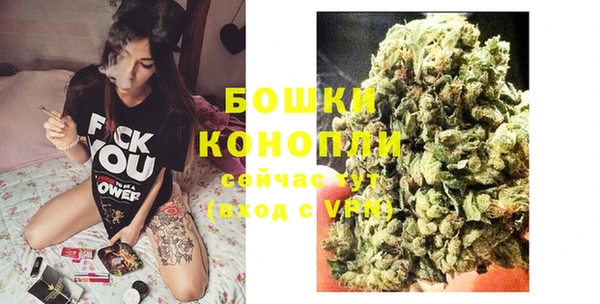 трава Лабытнанги