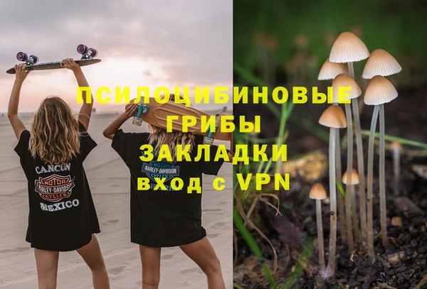 метадон Новозыбков