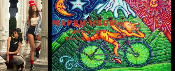 метадон Новозыбков