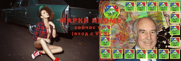 PSILOCYBIN Новокубанск